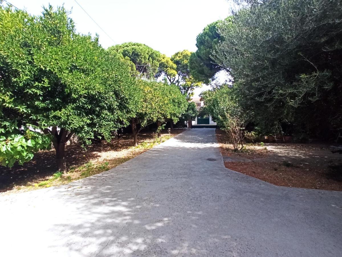 Appartamento Σπίτι Στο Ρίο Πατρών Με Κήπο - Detached House In Rio With Garden Esterno foto