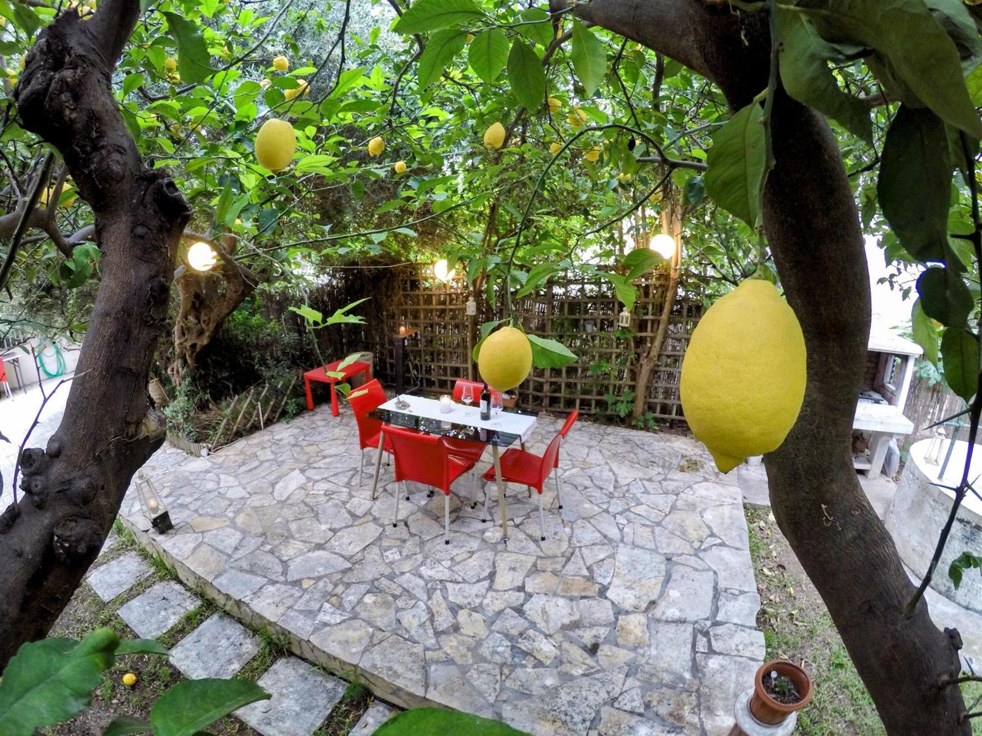 Appartamento Σπίτι Στο Ρίο Πατρών Με Κήπο - Detached House In Rio With Garden Esterno foto